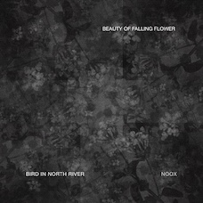 Jacket image of beauty of falling flower